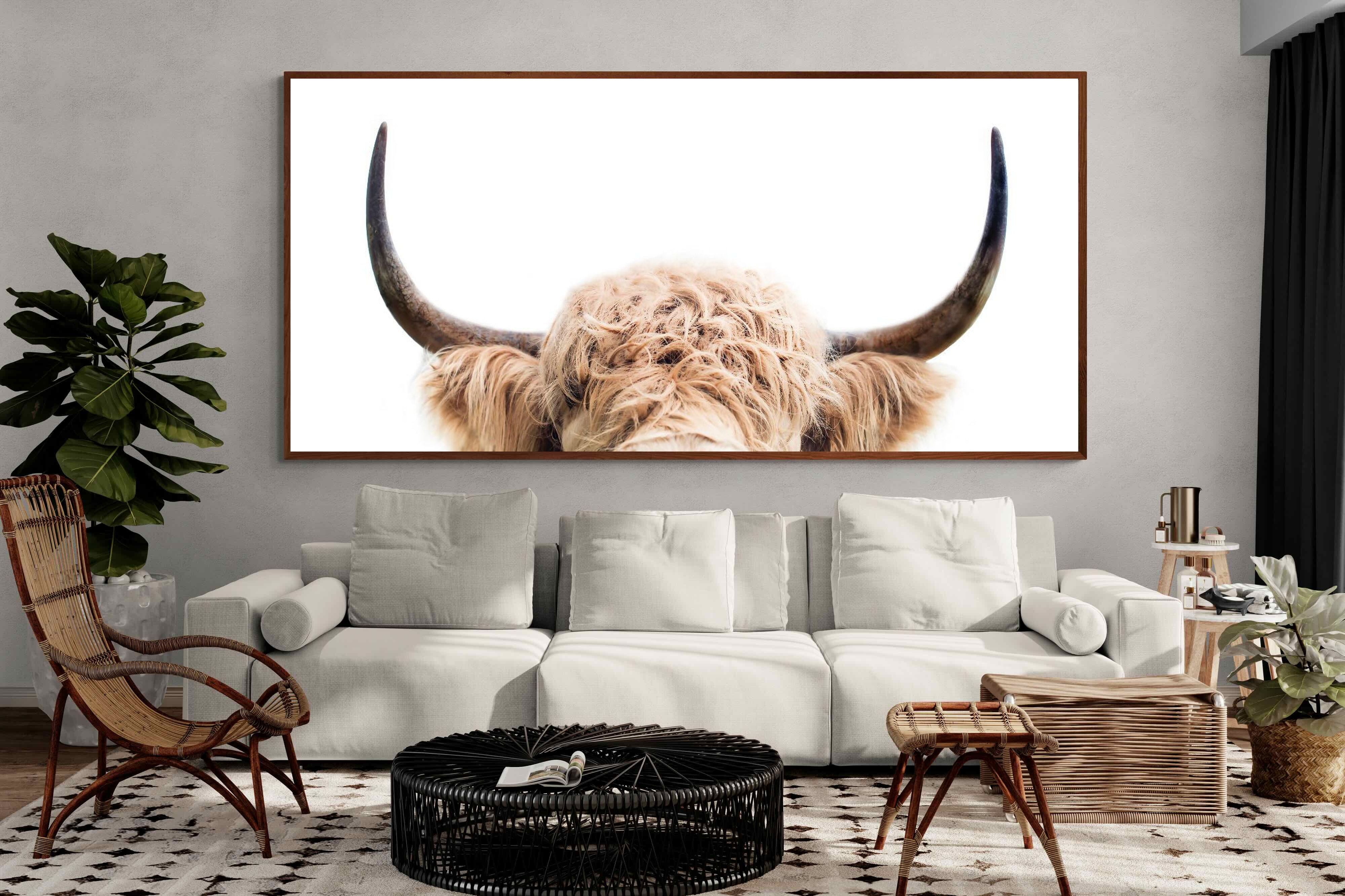 Pixalot Highland Peekaboo