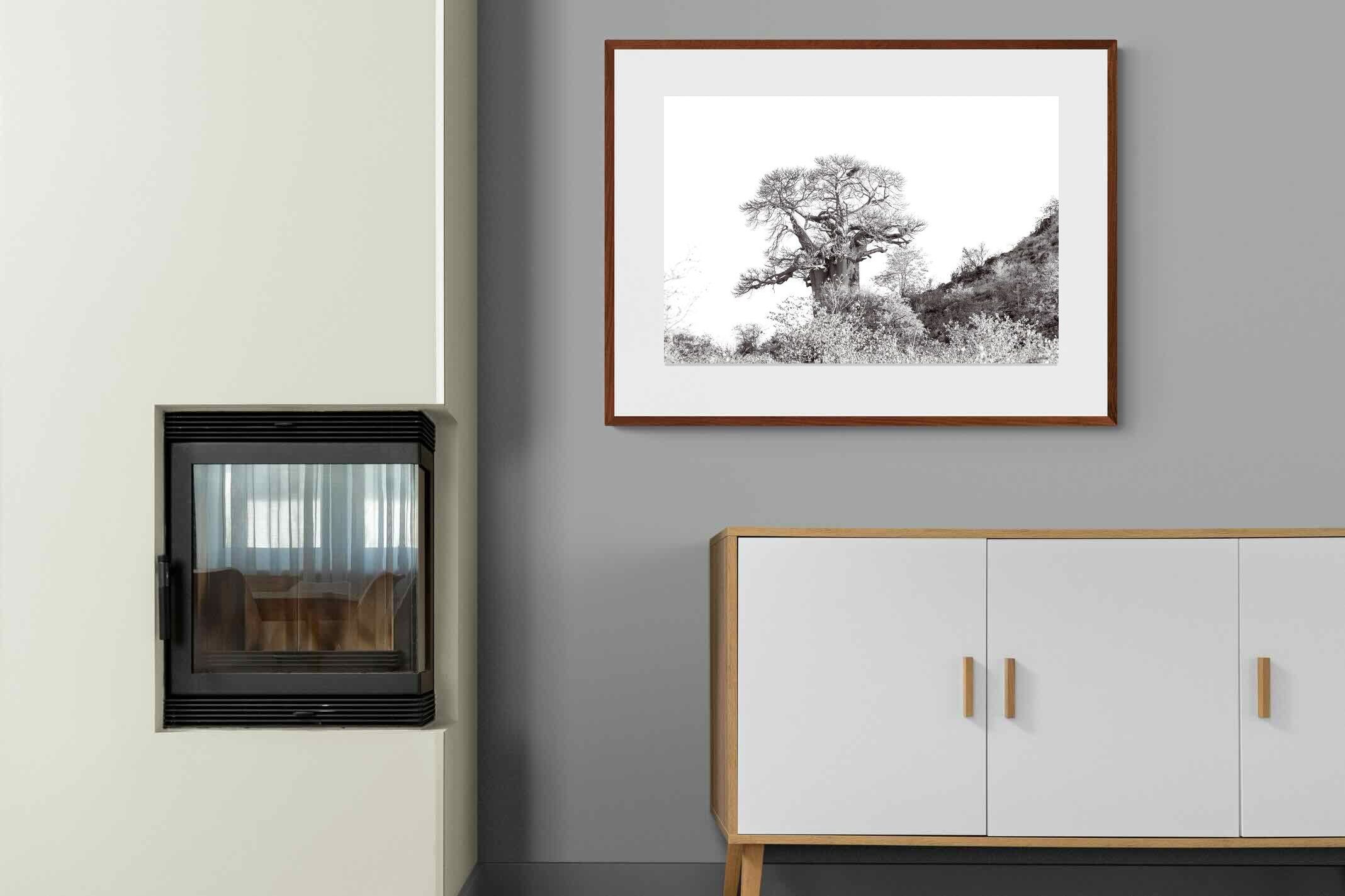 Pixalot ® Hillside Baobab