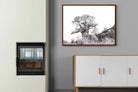 Pixalot ® Hillside Baobab