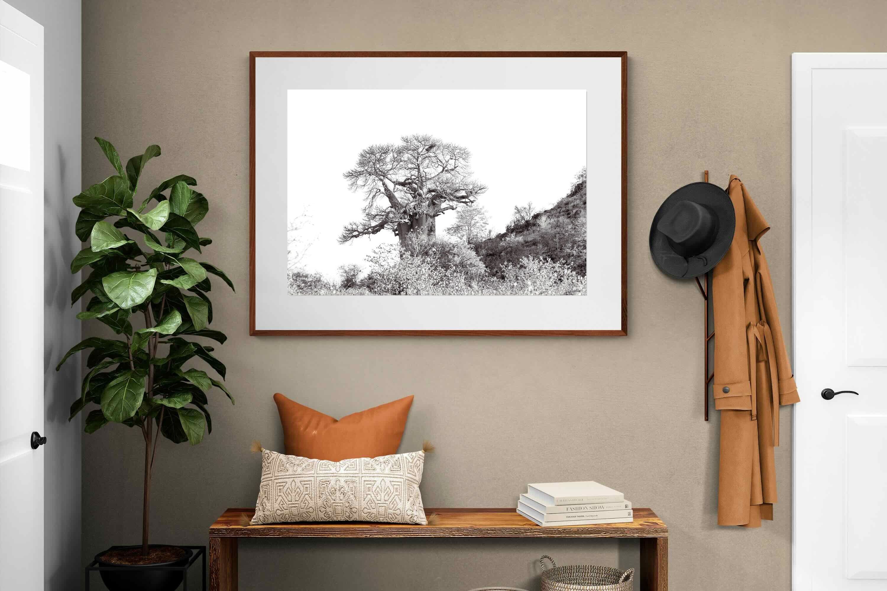 Pixalot ® Hillside Baobab