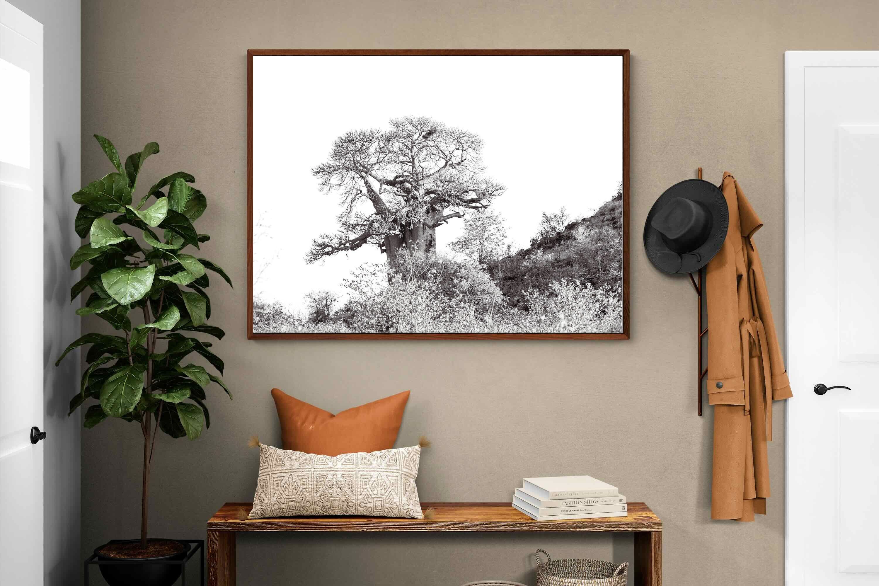 Pixalot ® Hillside Baobab