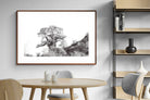 Pixalot ® Hillside Baobab