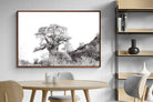 Pixalot ® Hillside Baobab