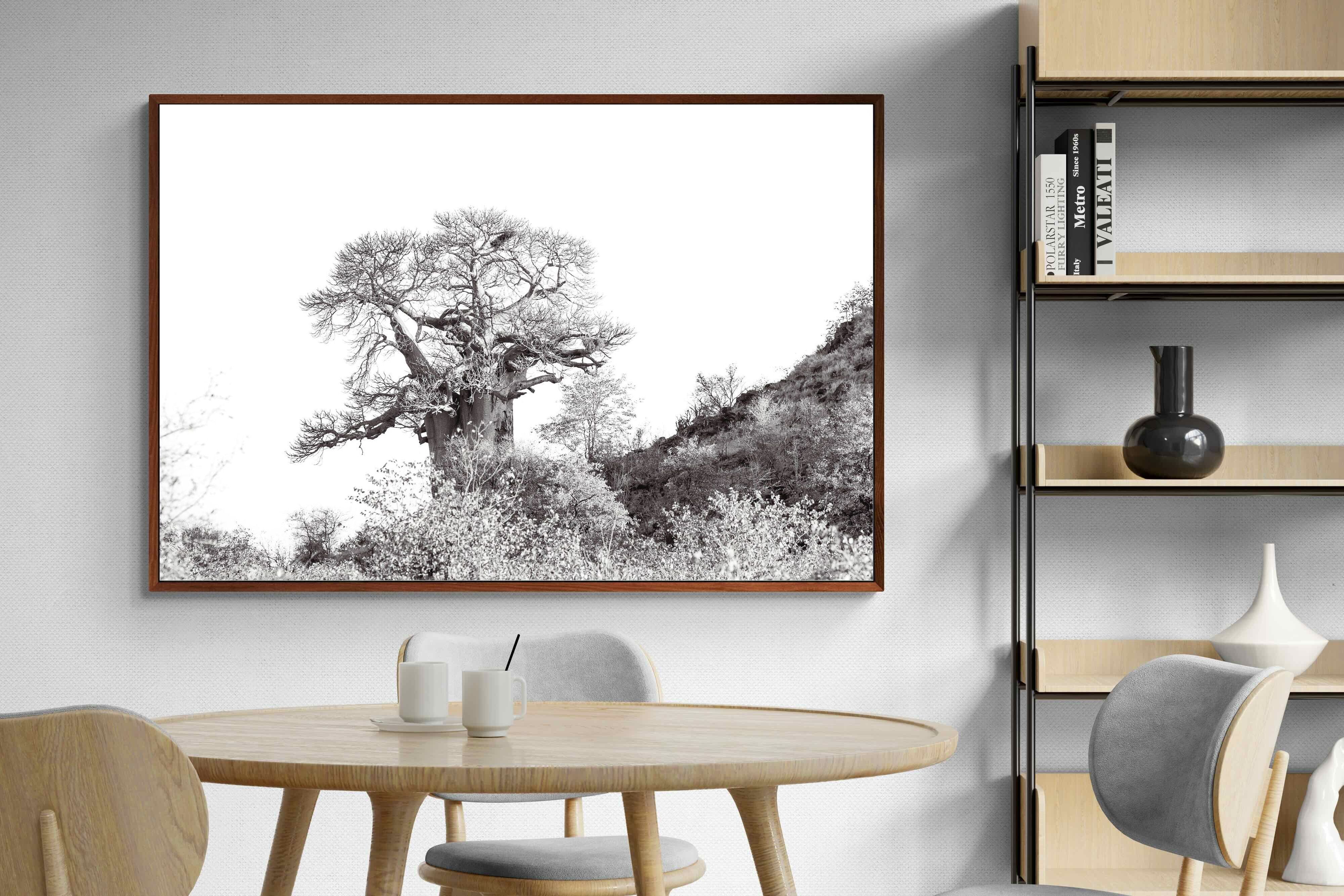 Pixalot ® Hillside Baobab