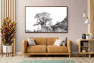Pixalot ® Hillside Baobab