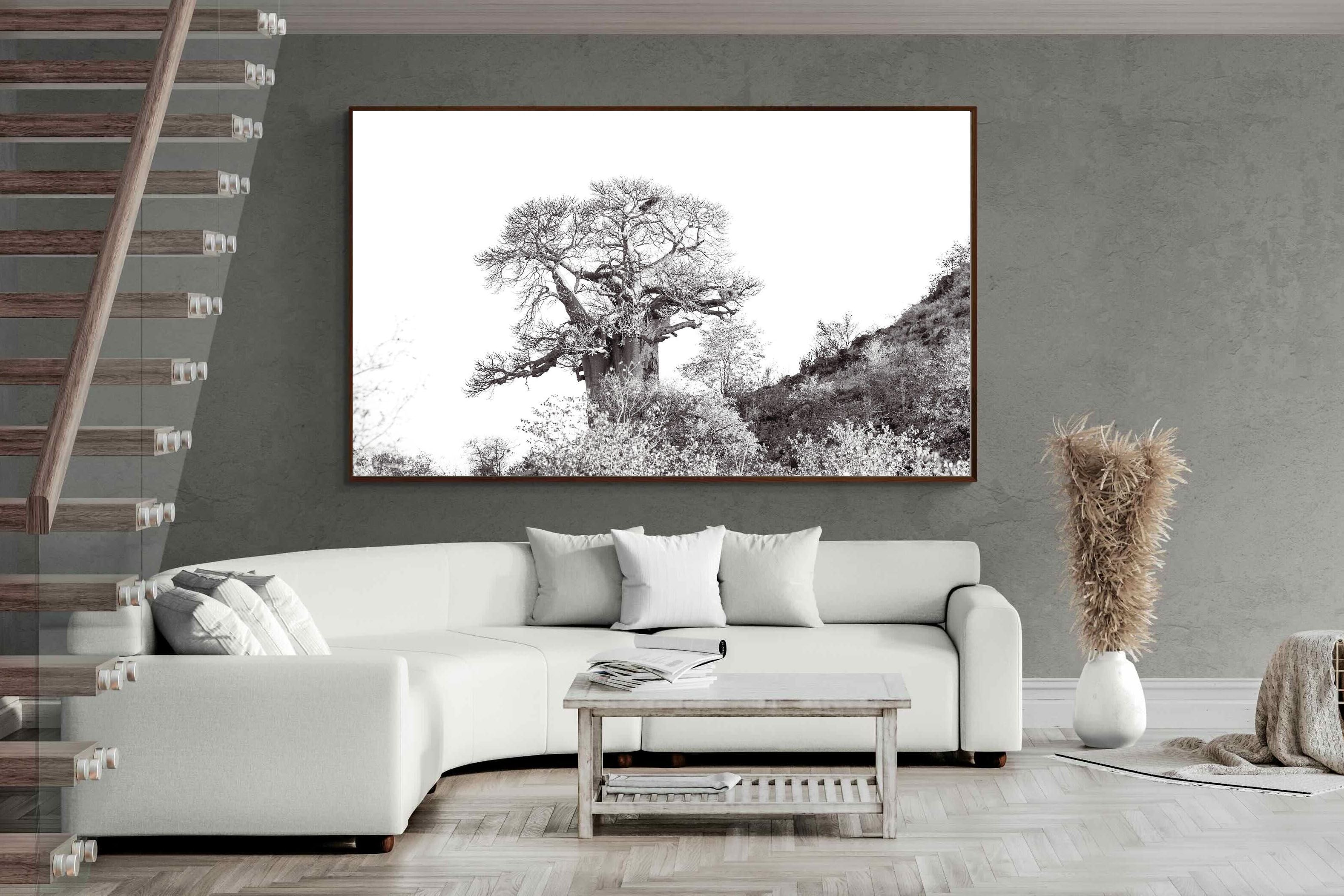 Pixalot ® Hillside Baobab