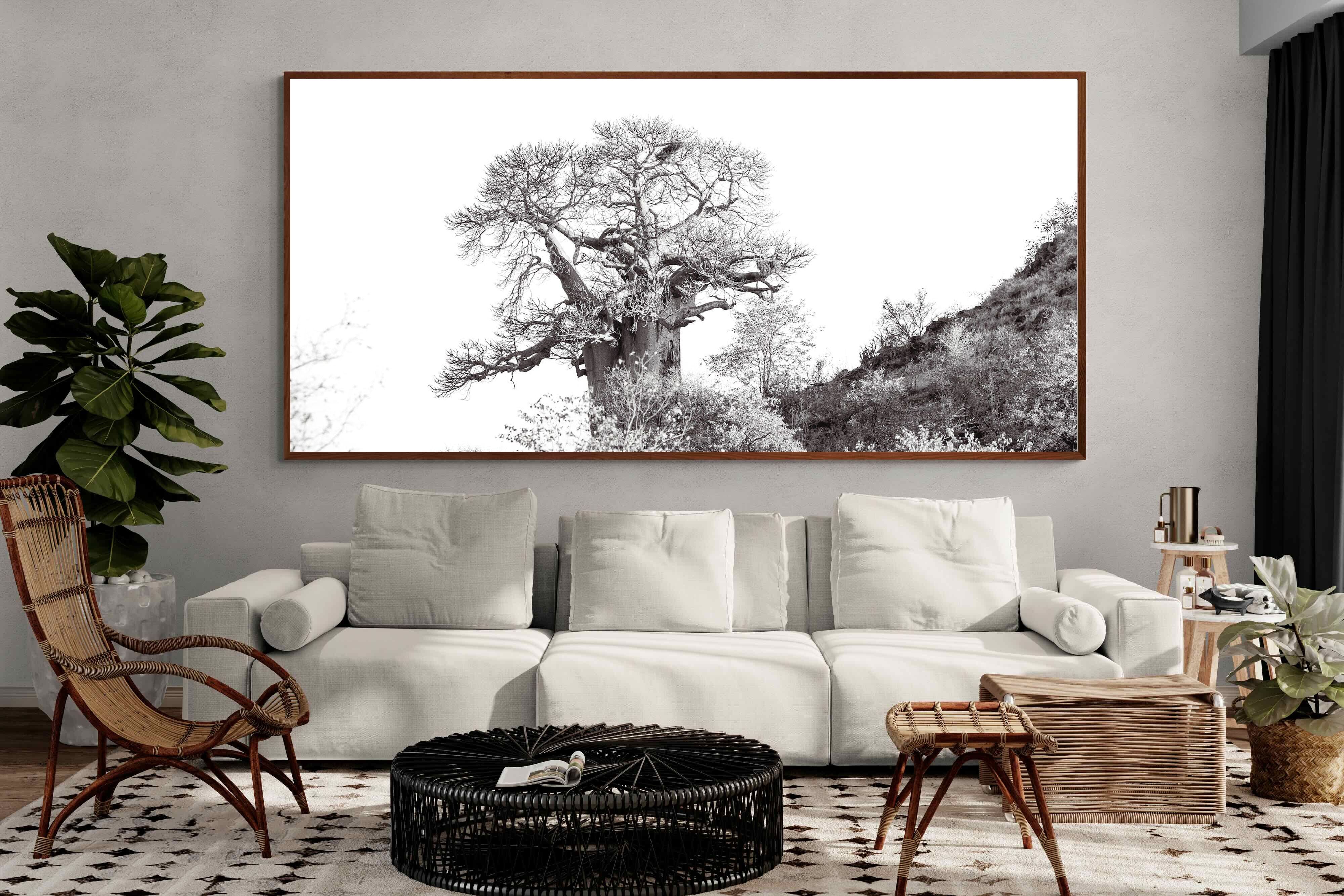 Pixalot ® Hillside Baobab