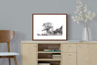 Pixalot ® Hillside Baobab
