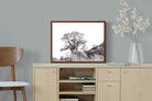 Pixalot ® Hillside Baobab