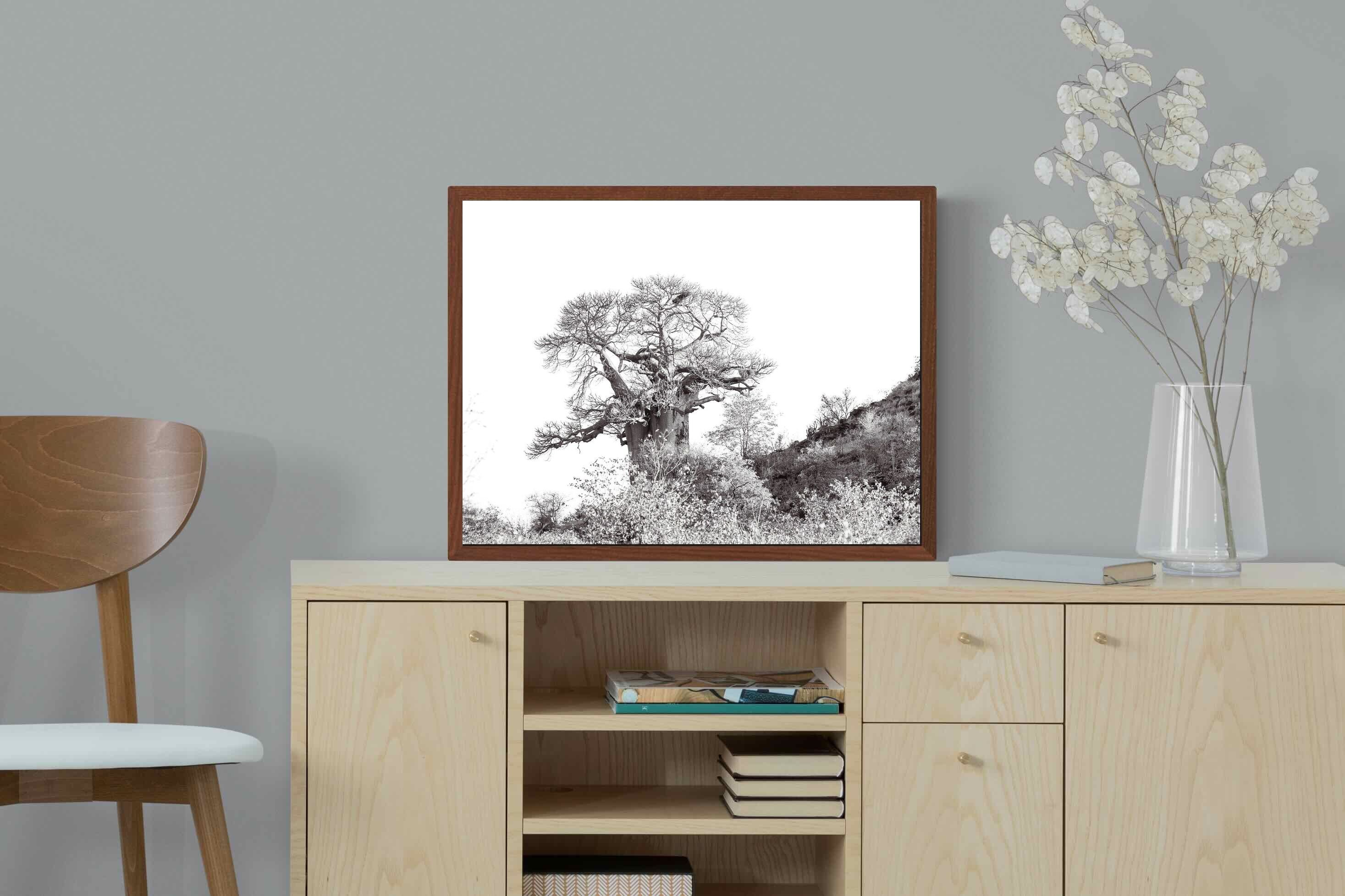 Pixalot ® Hillside Baobab