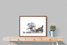 Pixalot ® Hillside Baobab