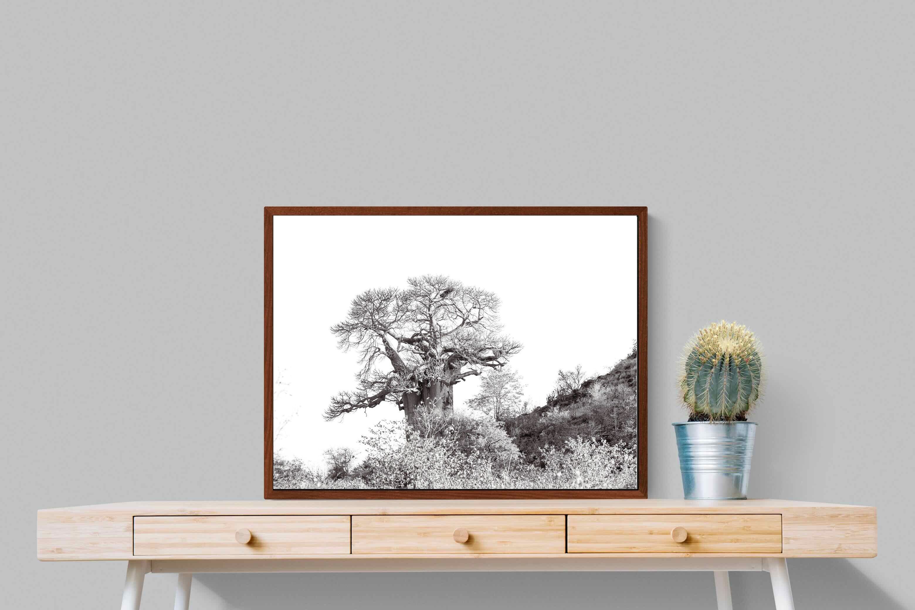 Pixalot ® Hillside Baobab