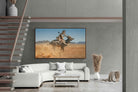 Pixalot Himba Boy