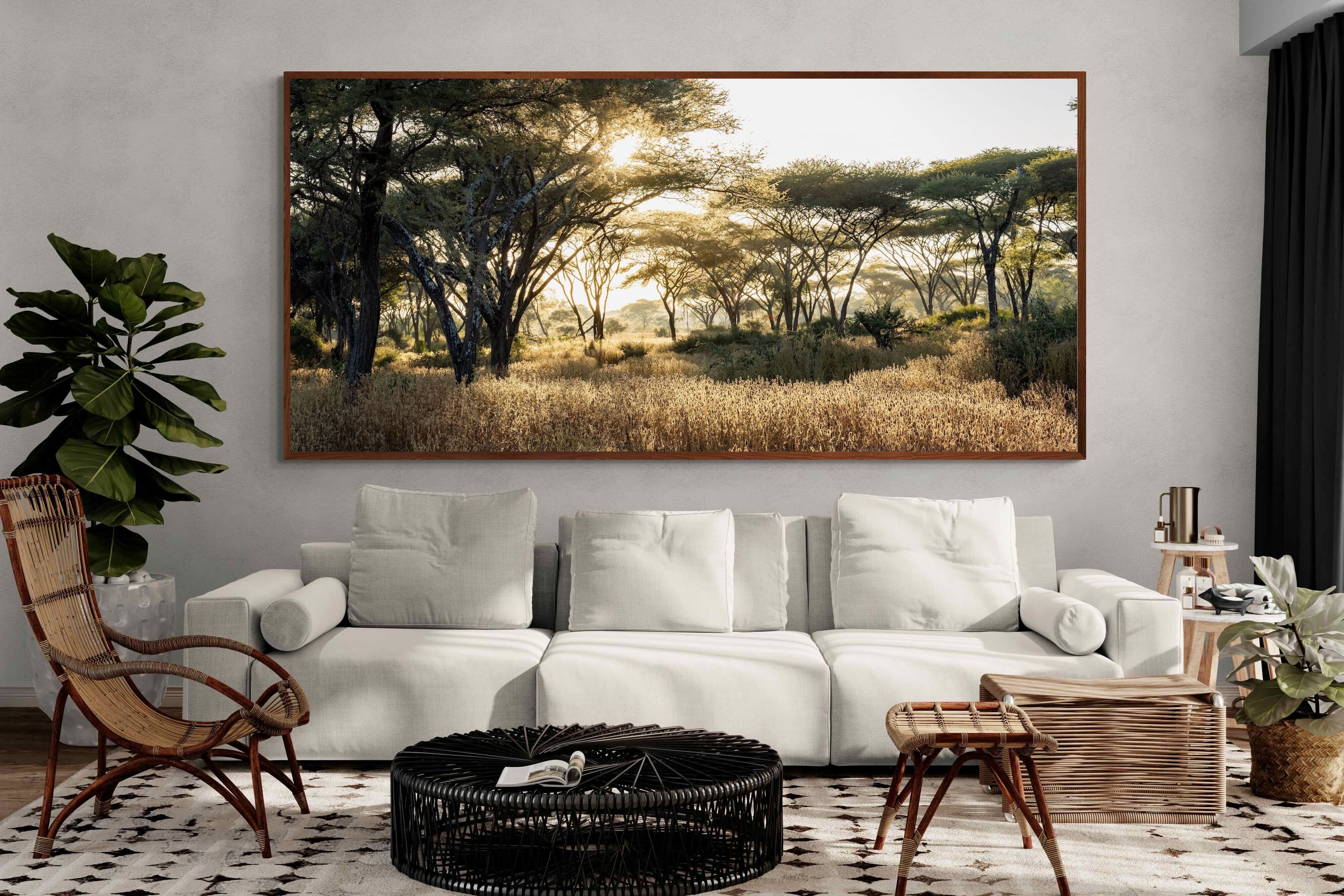 Pixalot Hippo Valley