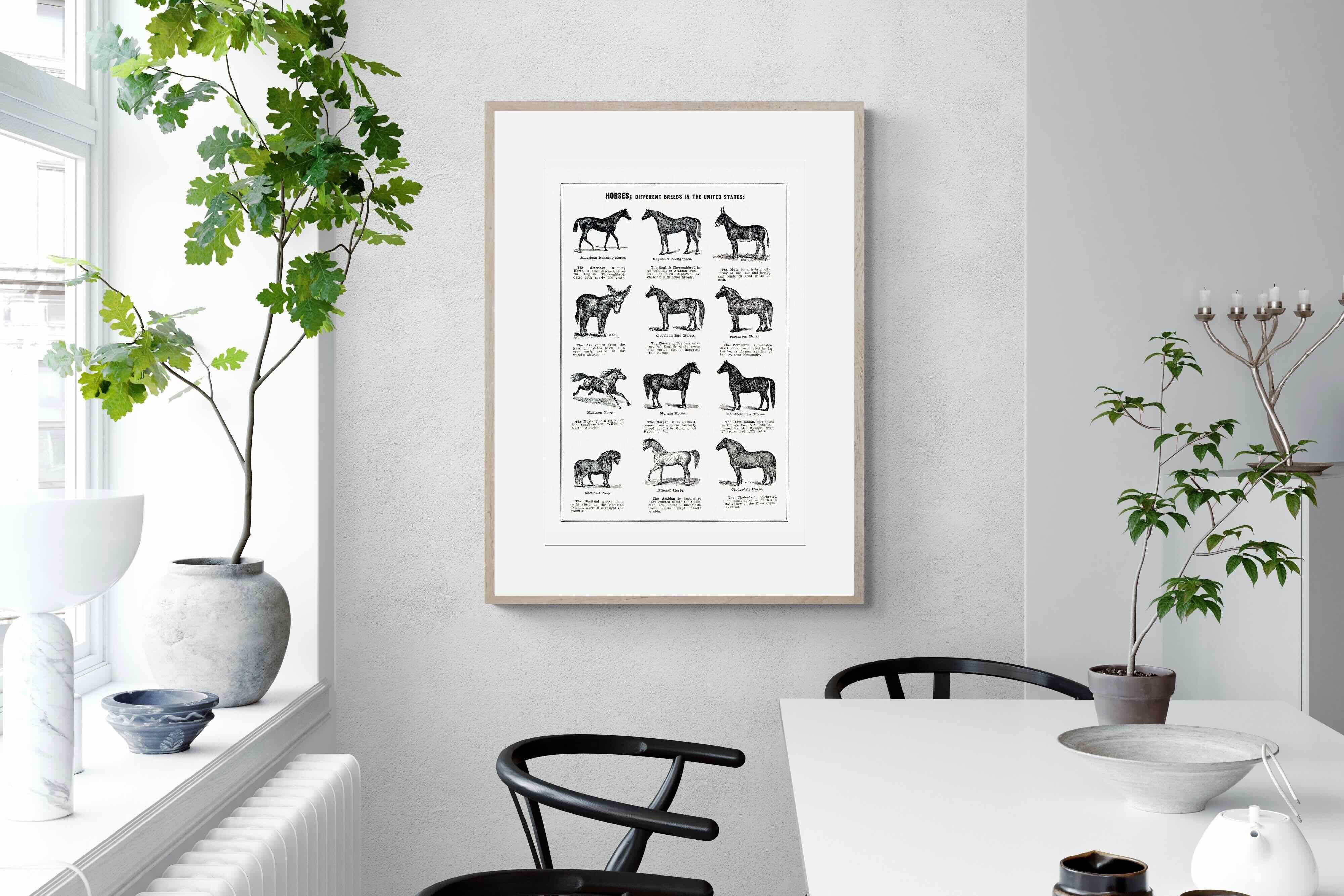 Pixalot Horse Breeds