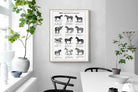 Pixalot Horse Breeds