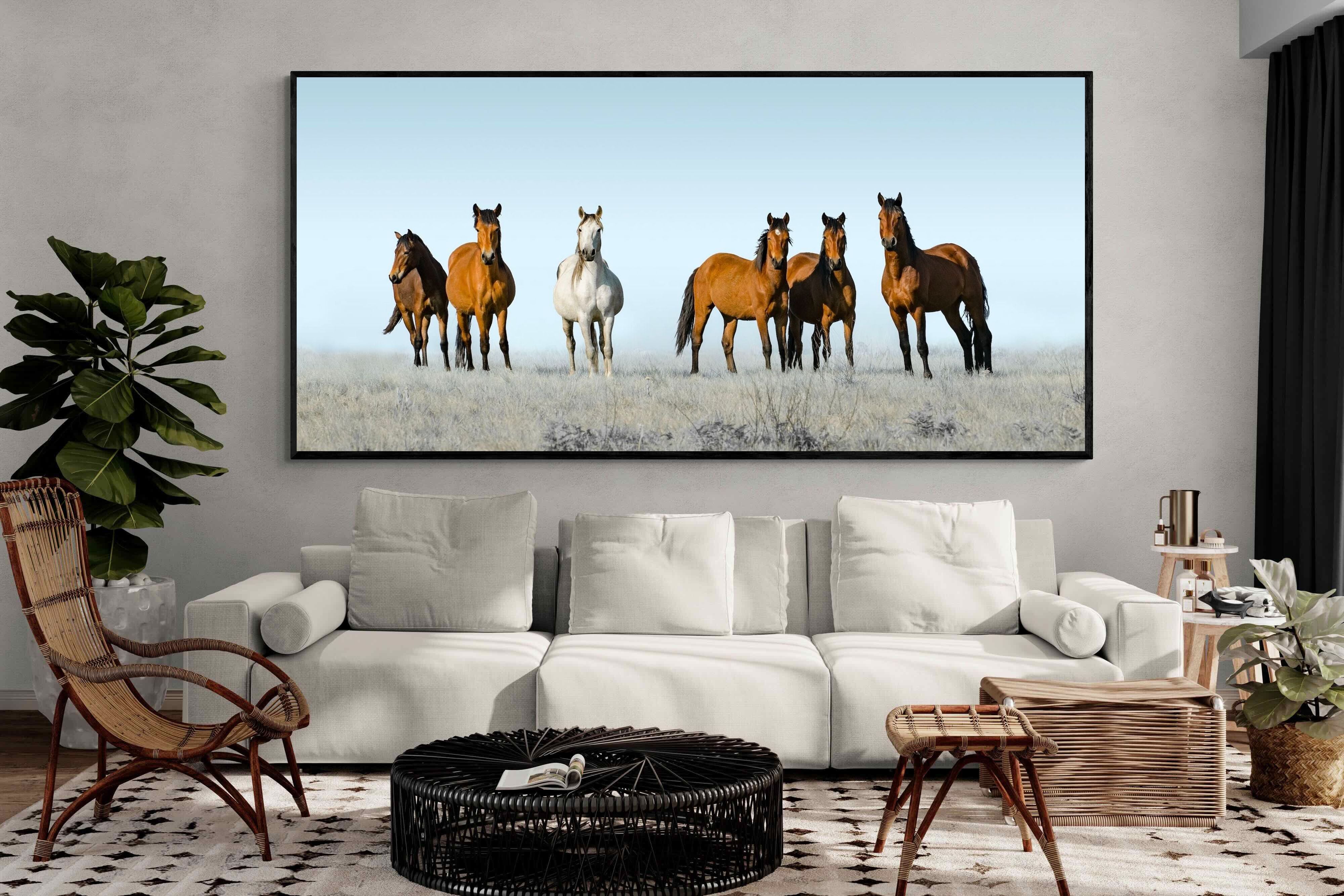 Pixalot ® Horses on the Horizon
