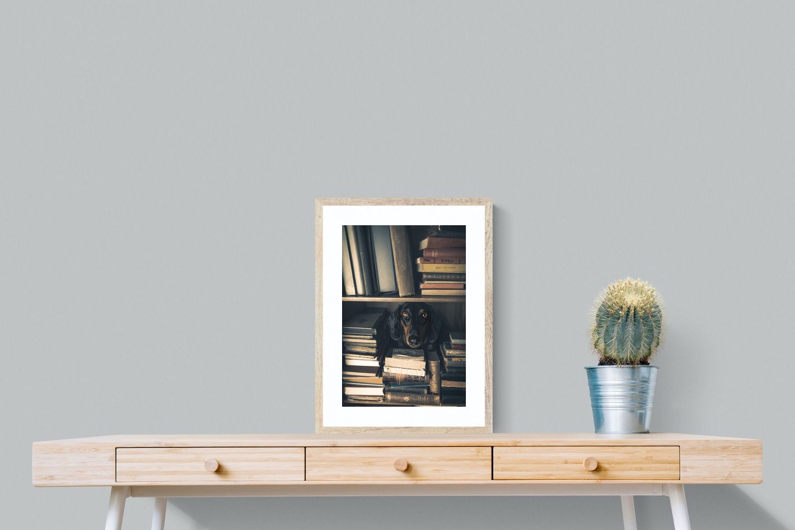 Pixalot Hound Among Books