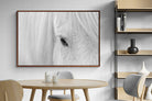 Pixalot ® Icelandic Whisper