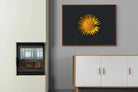 Pixalot ® Imperfect Perfection