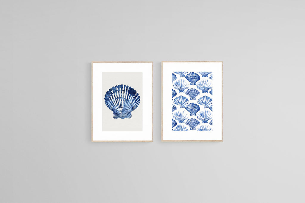 Indigo Shells Set