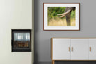 Pixalot ® Ivory Curve