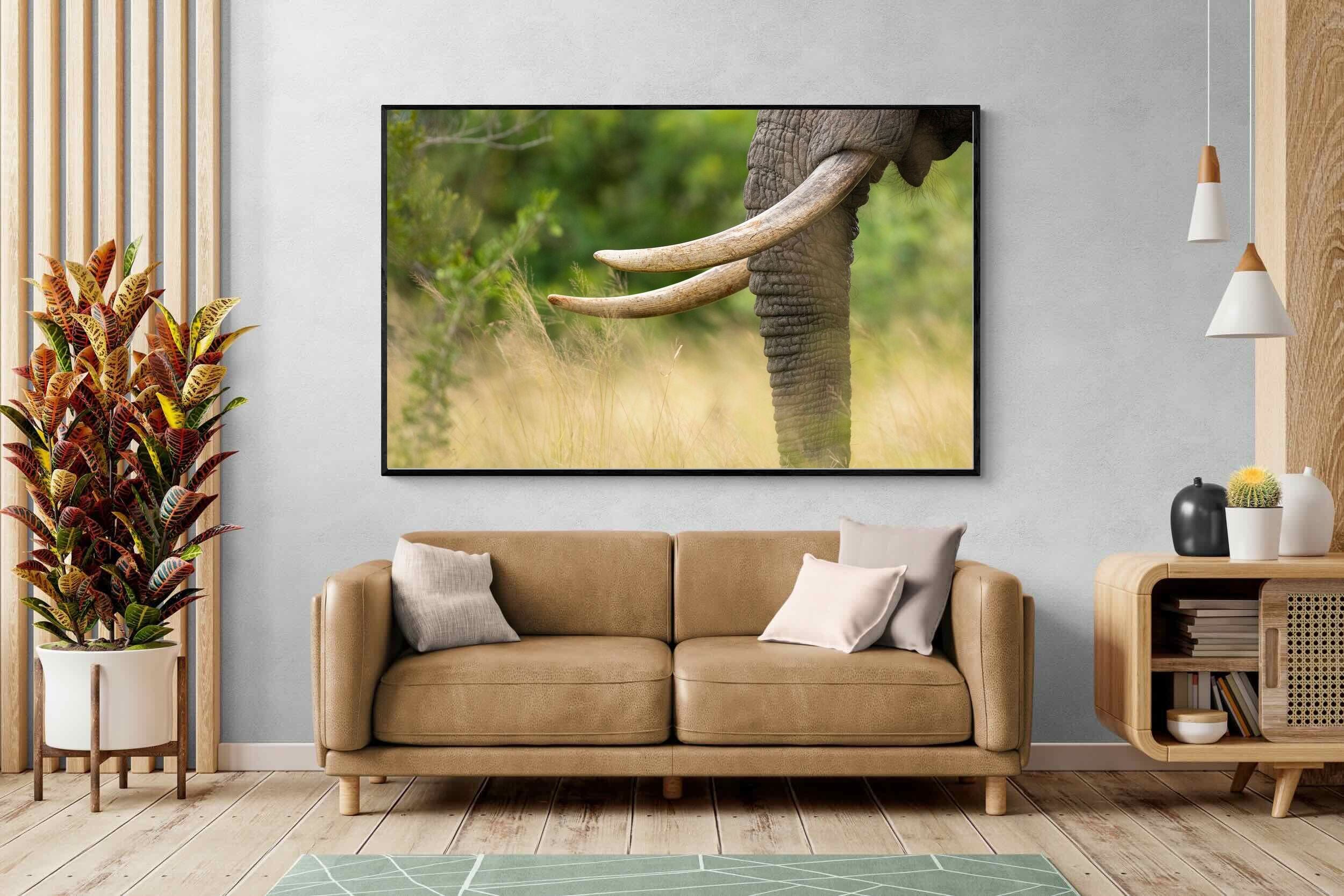 Pixalot ® Ivory Curve