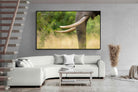 Pixalot ® Ivory Curve
