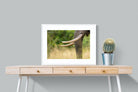 Pixalot ® Ivory Curve