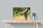 Pixalot ® Ivory Curve