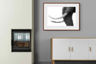 Pixalot ® Ivory