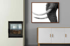 Pixalot ® Ivory