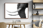 Pixalot ® Ivory
