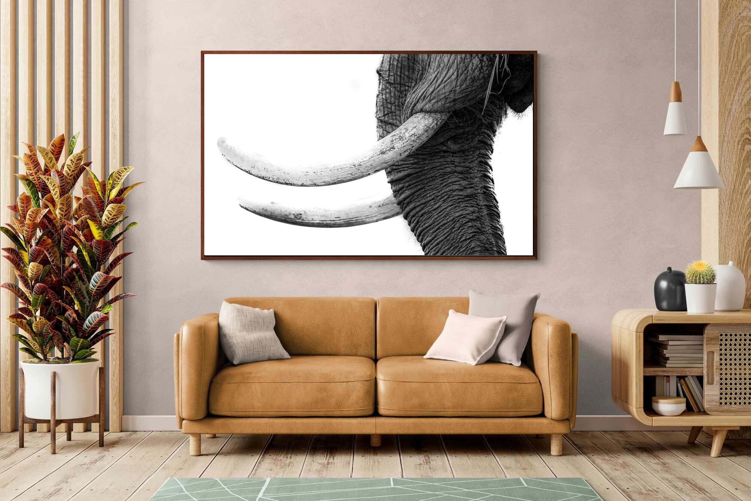 Pixalot ® Ivory