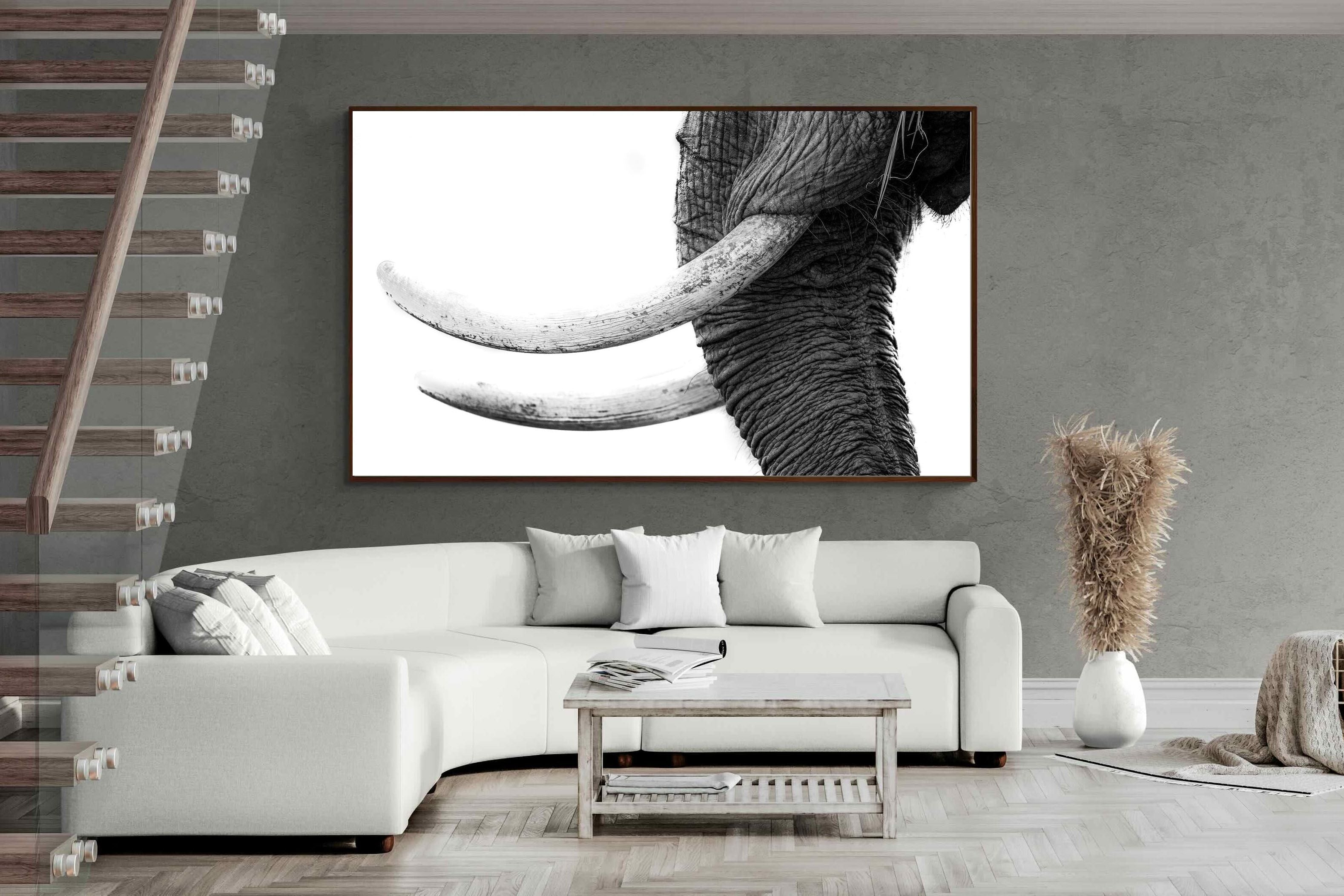 Pixalot ® Ivory