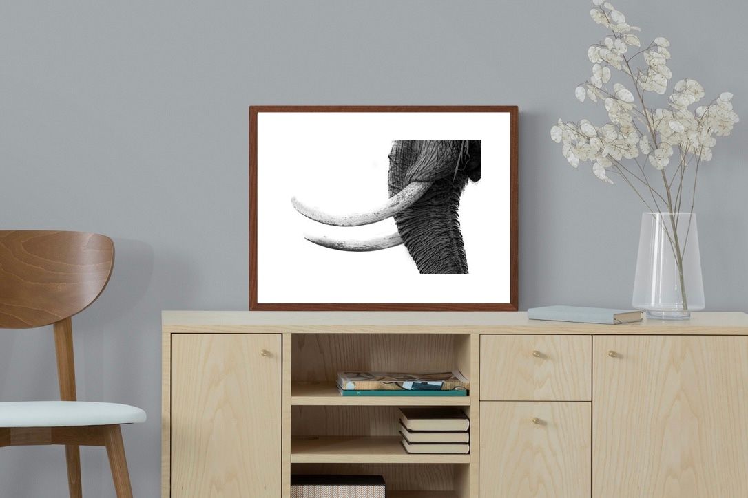 Pixalot ® Ivory