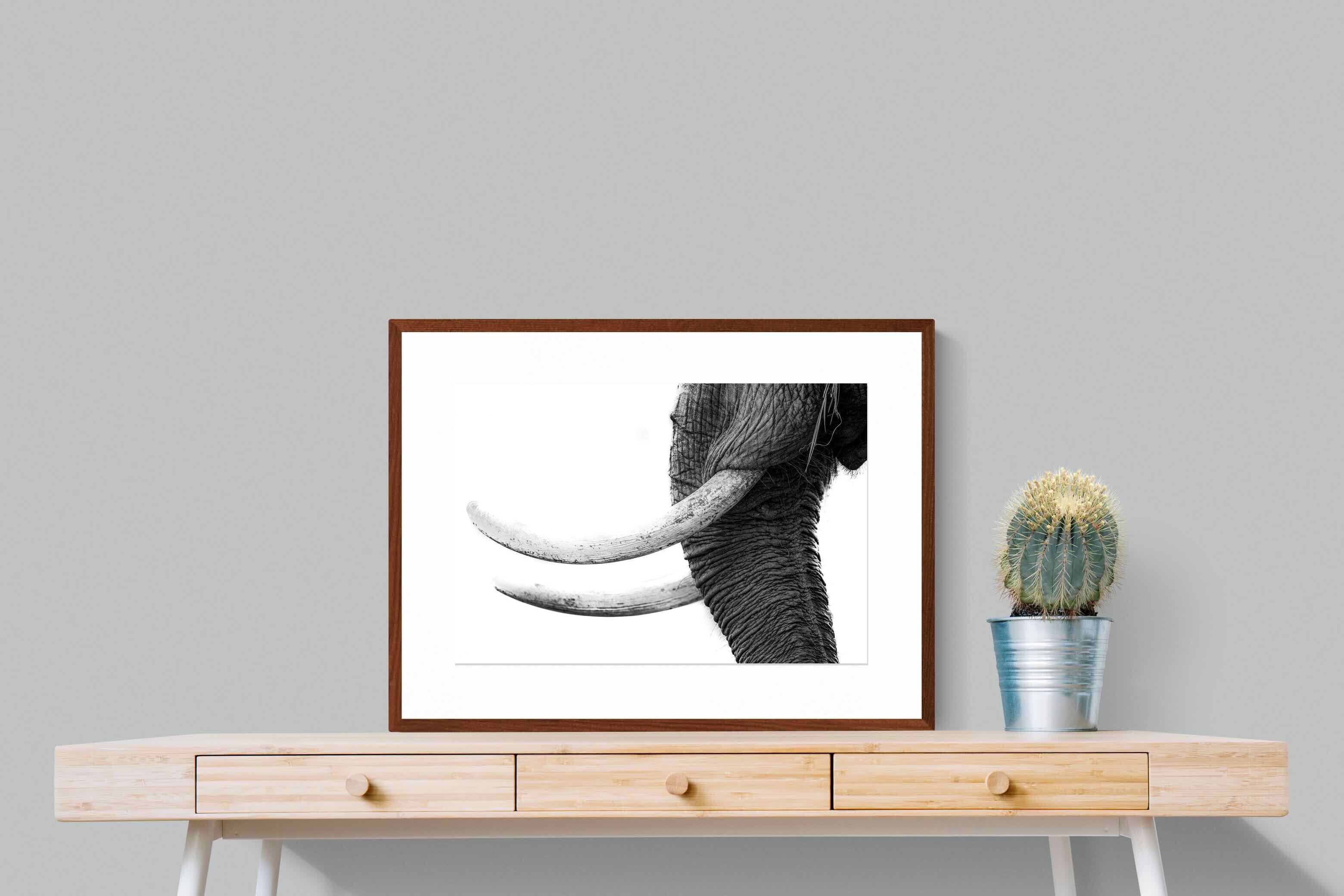Pixalot ® Ivory