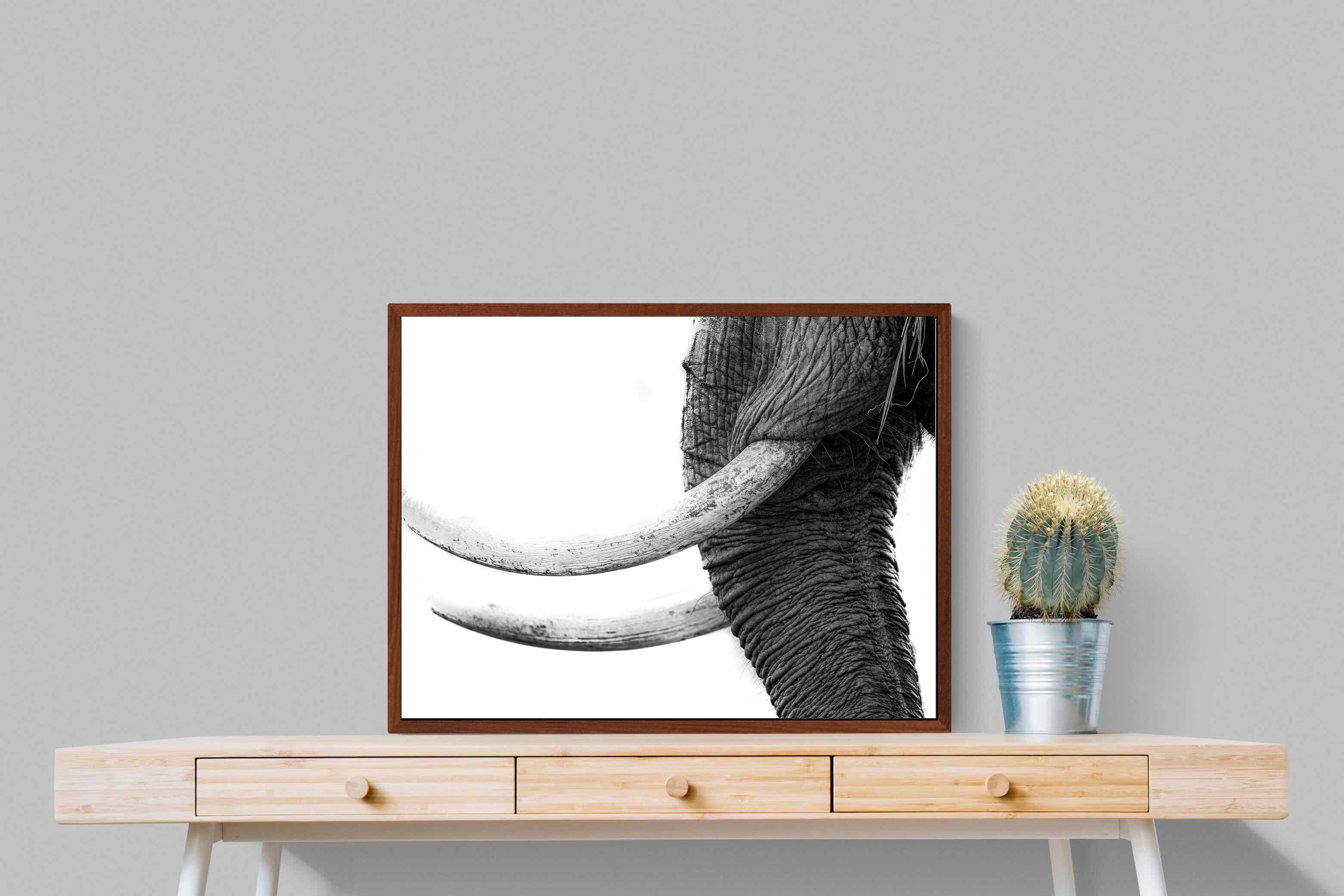 Pixalot ® Ivory