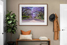 Pixalot ® Jacaranda