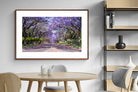 Pixalot ® Jacaranda