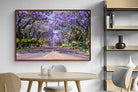 Pixalot ® Jacaranda