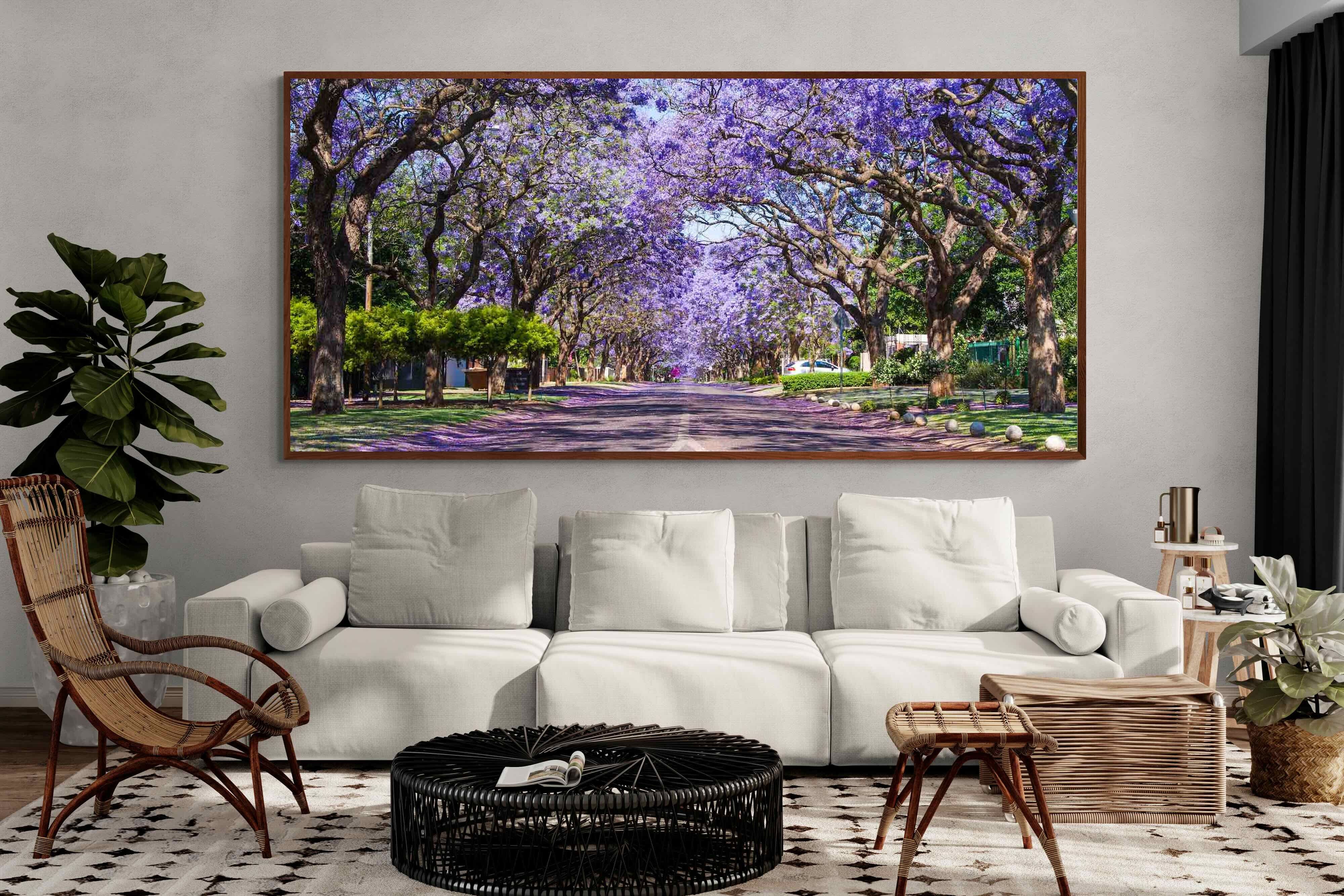 Pixalot ® Jacaranda