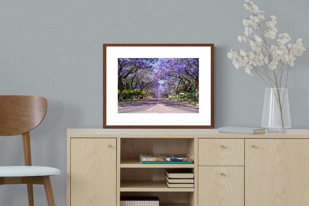 Pixalot ® Jacaranda