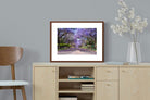 Pixalot ® Jacaranda
