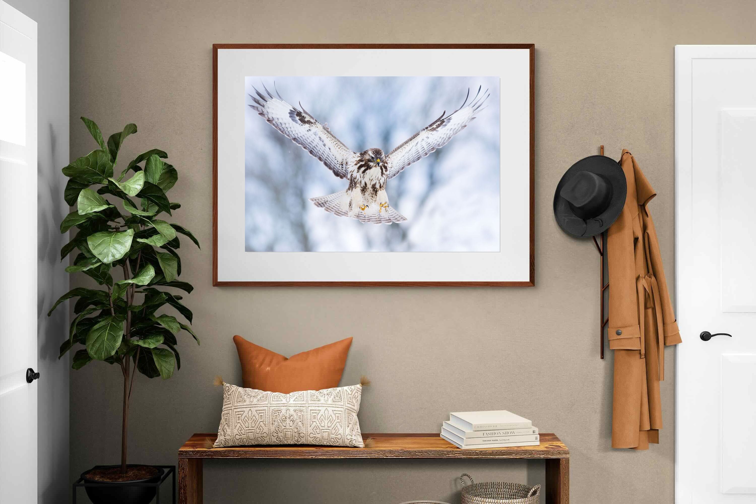 Pixalot ® Jackal Buzzard