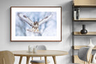 Pixalot ® Jackal Buzzard