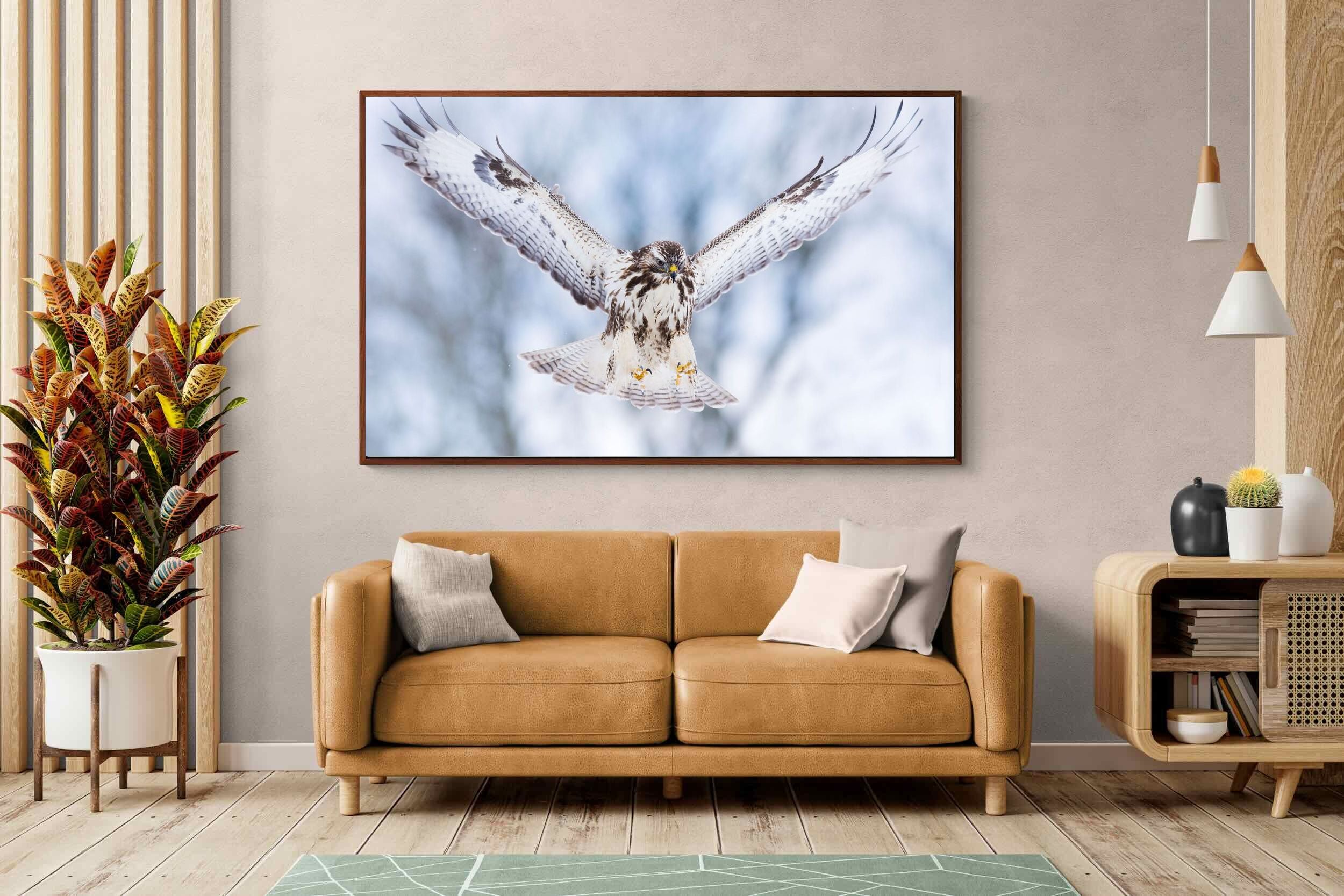 Pixalot ® Jackal Buzzard