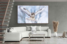 Pixalot ® Jackal Buzzard