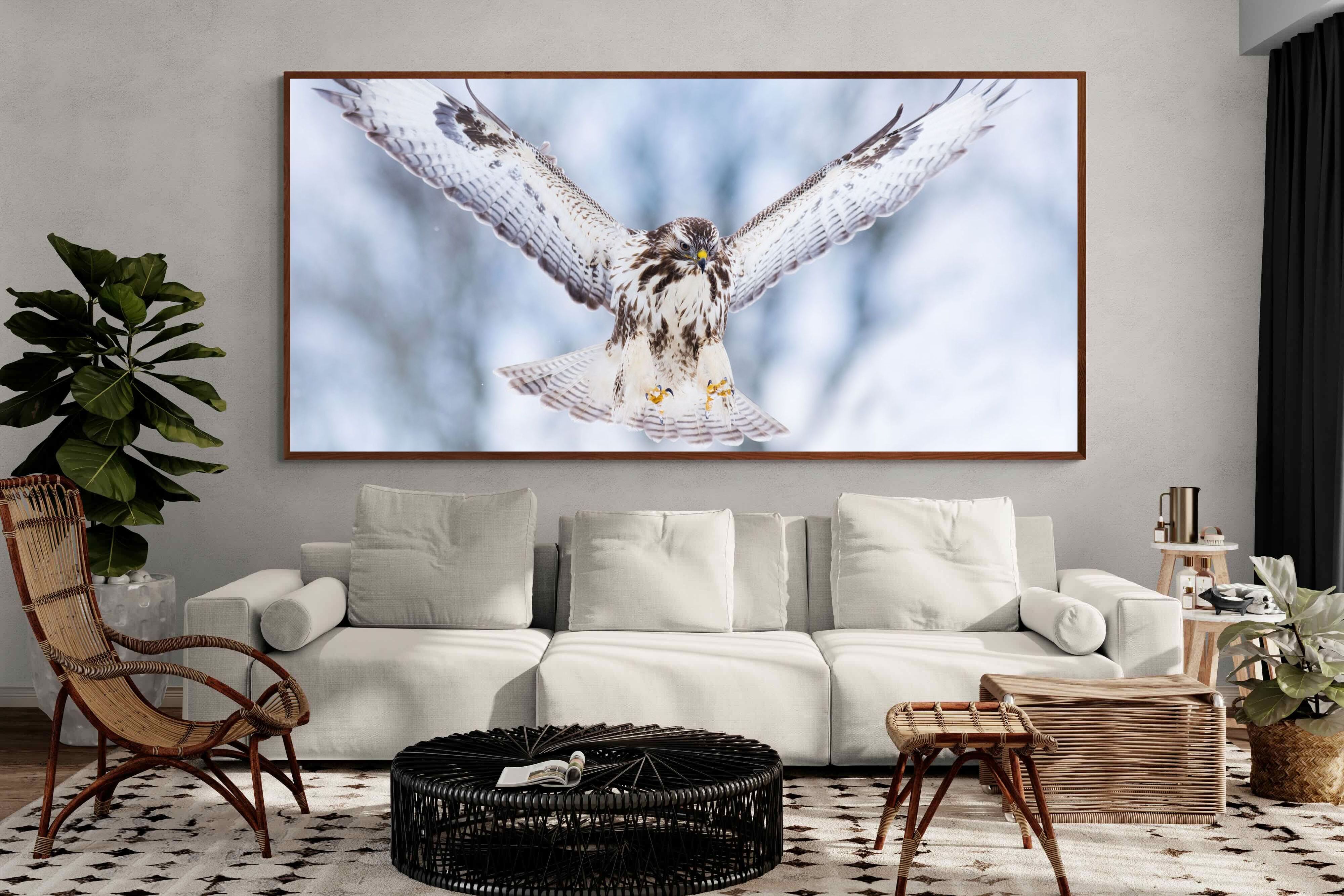 Pixalot ® Jackal Buzzard