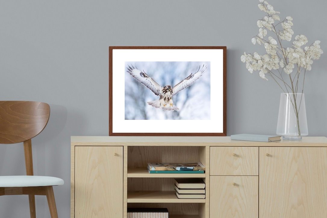 Pixalot ® Jackal Buzzard